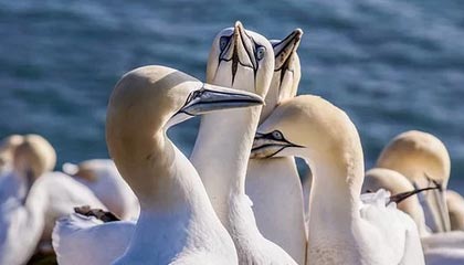 kaiyun体育app-社交媒体热议：谁是本赛季最耀眼的车手？